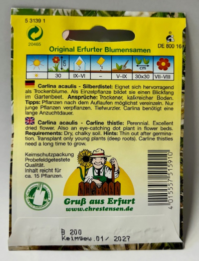 Silberdistel - Carlina acaulis