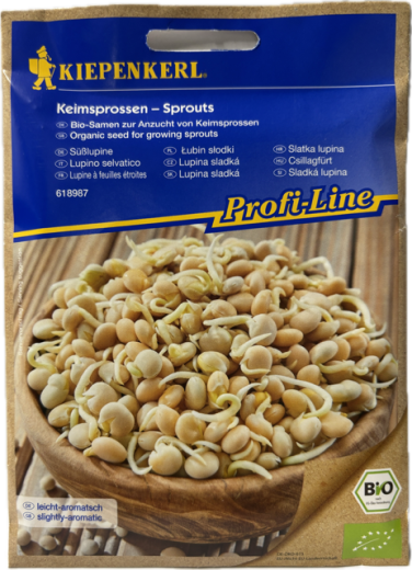 Keimsprossen - S��lupine