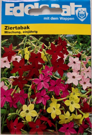 Ziertabak Mischung Nicotiana x sanderae