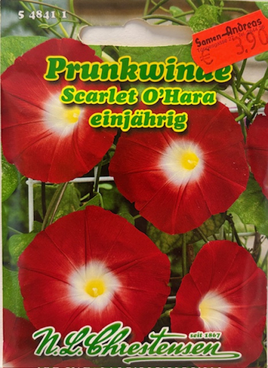 Trichterwinde 'Scarlet O´Hara' Ipomoea Pharbitis tricolor