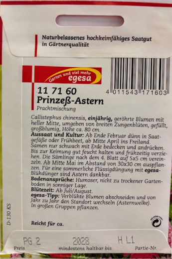 Aster, Prinze�-Aster Callistephus chinensis