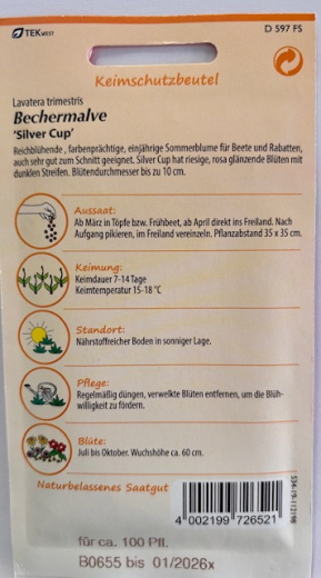 Bechermalve Silver Cup Lavatera trimestris