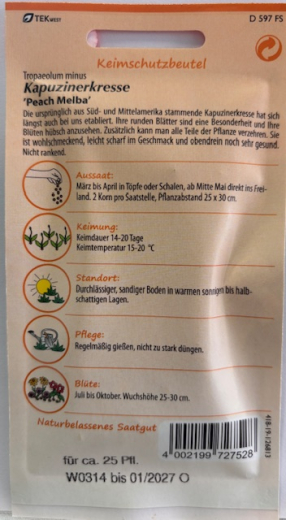 Kapuzinerkresse 'Peach melba' Trapaeolum minus