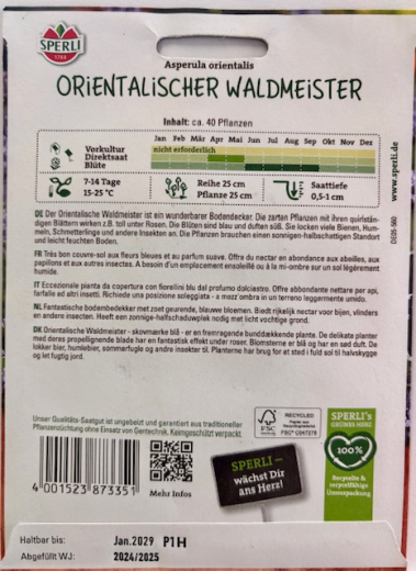 Waldmister, orientalischer Asperula orientalis