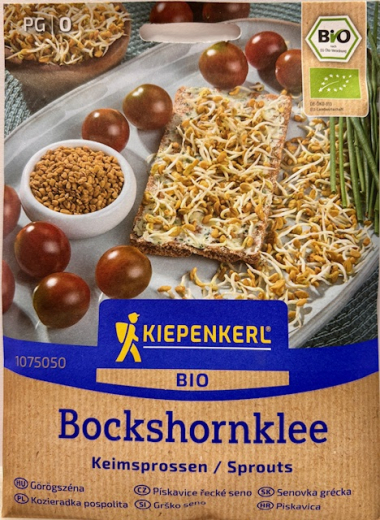 Keimsprossen Bochshornklee