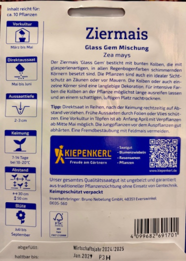 Ziermais Glass Gem Mischung Zea mays