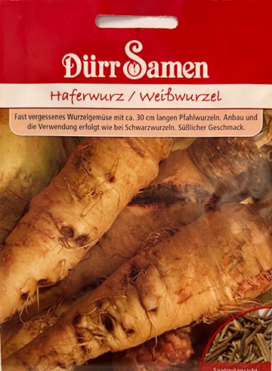 Haferwur Wei�wurzel    Tragopogan perrifelius