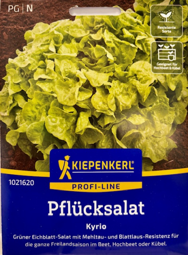 Pfl�cksalat Kyrio, Eichblattsalat