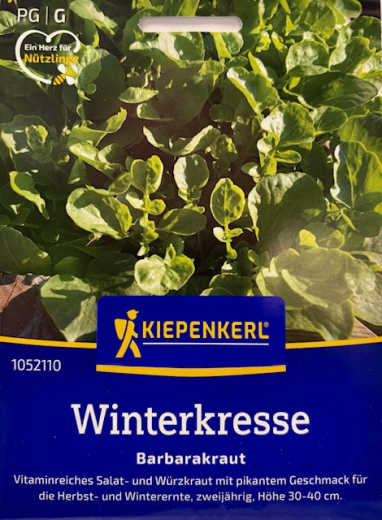 Winterkresse Barbarakraut