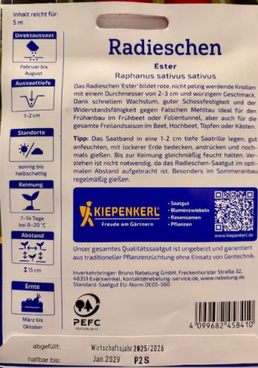 Radieschen Ester Saatband