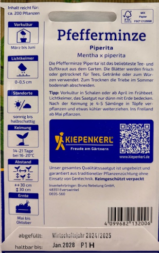 Pfefferminze Mentha Piperita