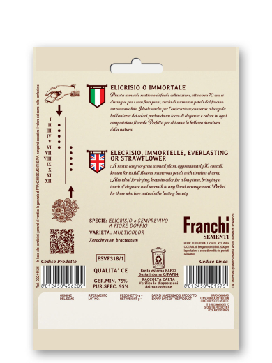 Strohblume Retro Immortelle Xerochrysum bracteatum