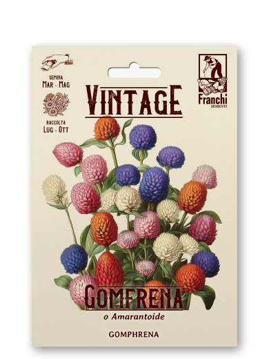 Kugelamaranth Retro Gomfrey Gomphrena globosa