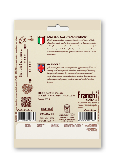 Studentenblume Tagetes Retro Tagetes erecta