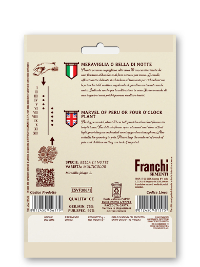 Wunderblume Retro Mirabilis jalapa