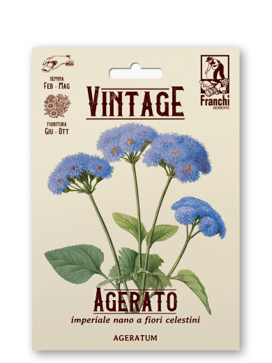 Leberbalsam Retro Ageratum houstonianum