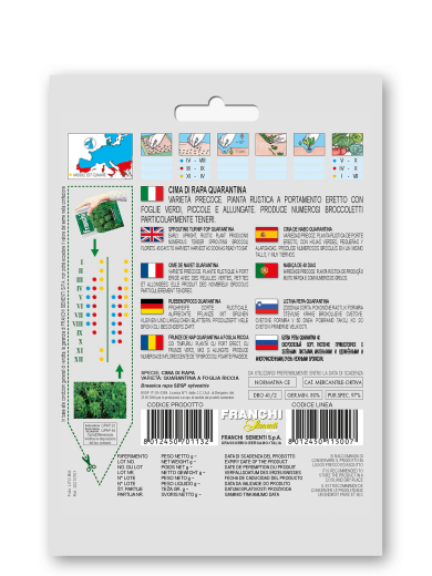 Cimi di Rapa Quarantina a foglia riccia