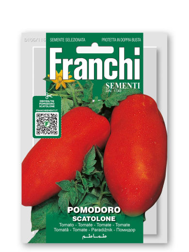 Tomate Fleischtomate Scatolone