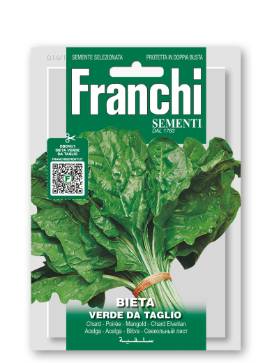 Mangold Blattmangold 'Verde di Taglio'
