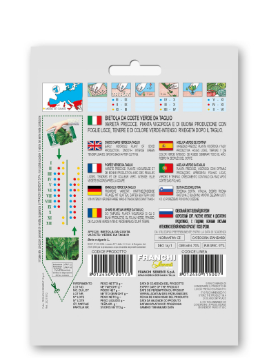 Mangold Blattmangold 'Verde di Taglio'