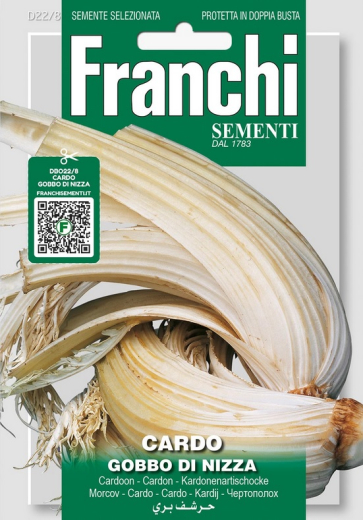 Kardenartischocke Cardonze Cardy "Gobbo di Nizza"