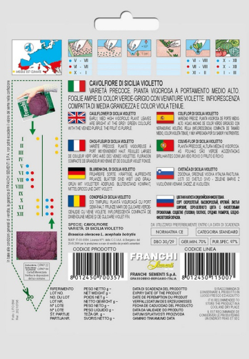 Blumenkohl Lila "Di Siciliana Violetto"