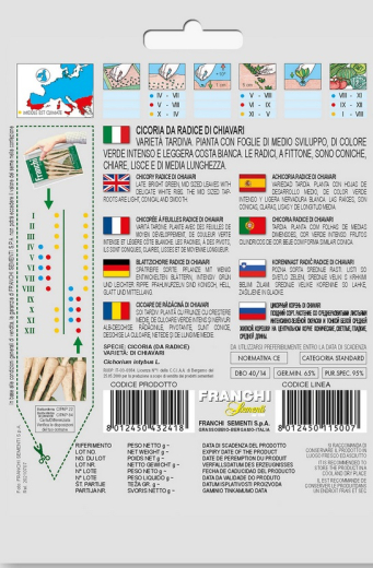 Zichorienwurzel Chicor�e "Radice Di Chiavari"