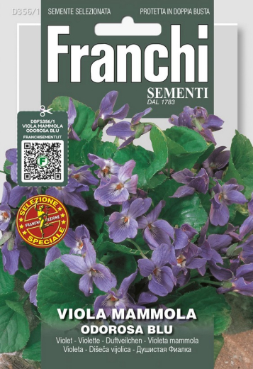 Duftveilchen Viola odorata