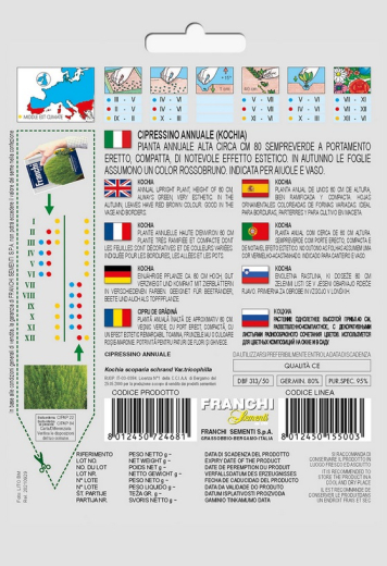 Sommerzypresse Kochia