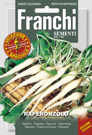 Raperonzolo - Essbare Glockenblume