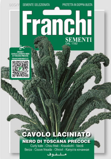 Palmkohl Nero di Toscana