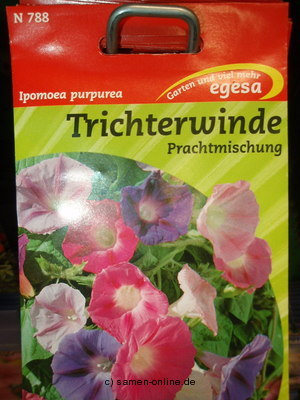Trichterwinde Ipomea purpurea Prachtmischung (ipomoea)