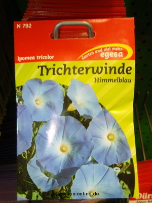 Trichterwinde  Himmelblau  Ipomea tricolor (ipomoea)