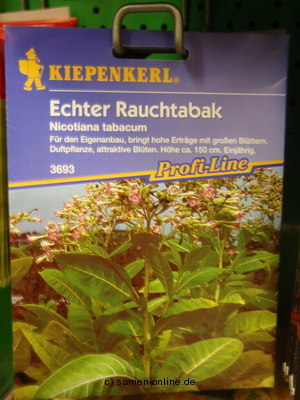Echter Rauchtabak Nicotiana tabakum