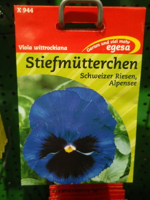 Stiefmütterchen  Schweizer Riesen Alpensee  Viola