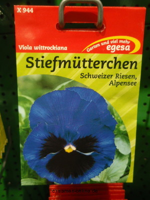 Stiefmtterchen  Schweizer Riesen Alpensee  Viola