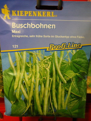 Buschbohne 'Maxi'