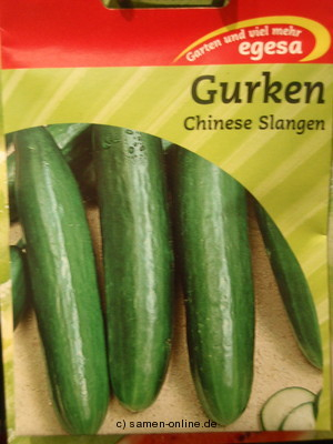 Gurke Chinesische Schlangen