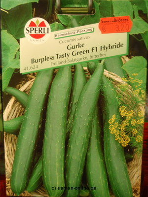 Gurke Burpless Tasty Green F1 Salatgurken