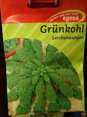 Grnkohl Lerchenzunge