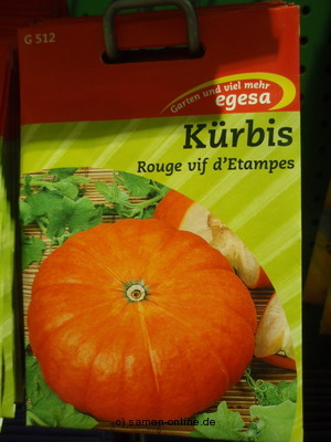 Krbis Rouge vif d`etampes (Roter Zentner)