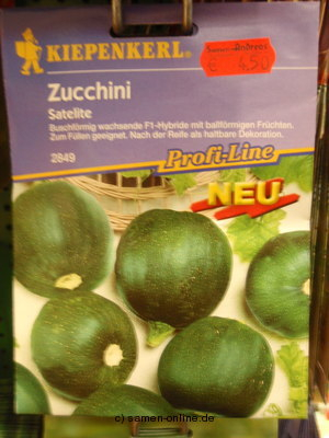 Zucchini 'Satelite' , kugelrund, dunkelgrn