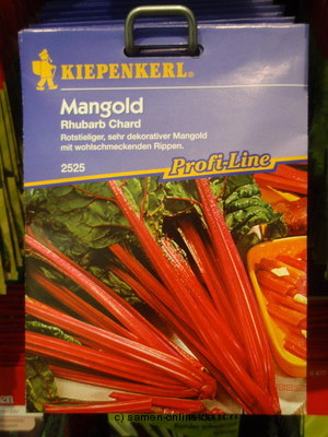Mangold, roter 'Rhubarb Chard'