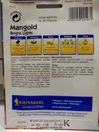 Mangold 'Bright Lights'