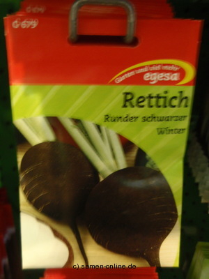 Rettich runder schwarzer Winter