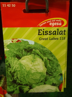 Kopfsalat / Eissalat Great Lakes