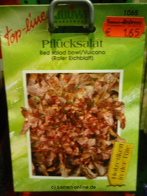 Pfl�cksalat Red salad bowl, auch Eichblatts