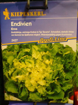 Endivien 'Eros'