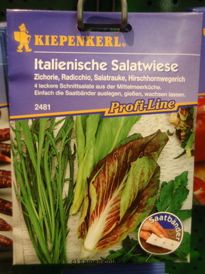 Italienische Salatwiese Saatband