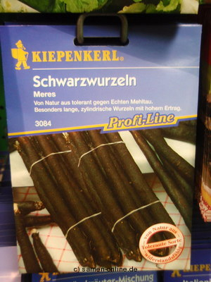 Schwarzwurzel 'Meres'